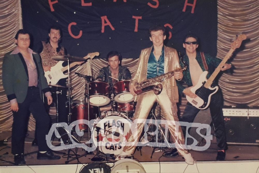 Flash cats on stage