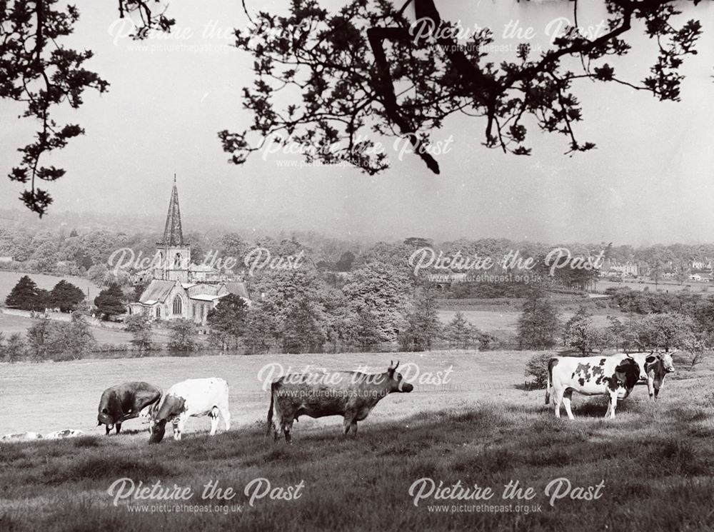 View of St Alkmund's Church from Eaton Bank, Duffield, c 1960s