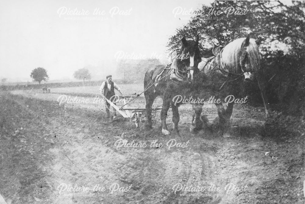 A horse drawn plough from Chamberlain's Farm, Riddings