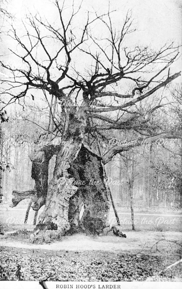 Robin Hood's Larder, Sherwood Forest