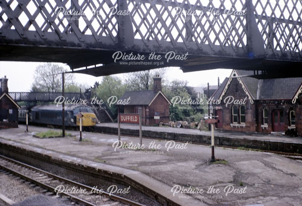Train approaching Duffield Station, 1966