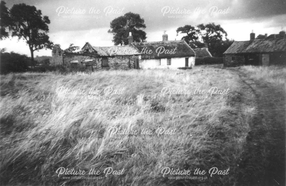 Birk's farm, Ripley c1916