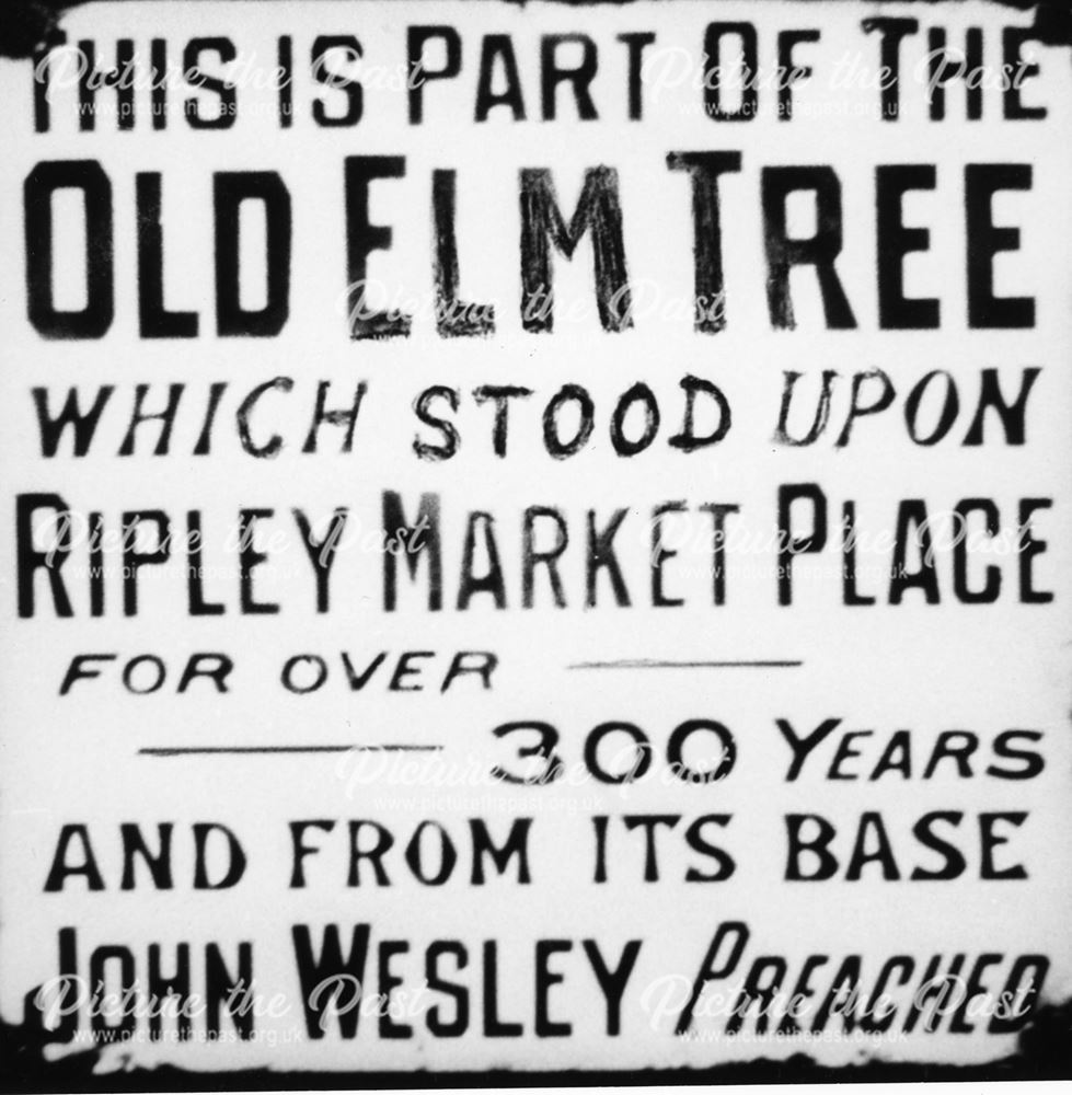 notice showing details of the famous elm tree which was displayed in Ripley Zoo