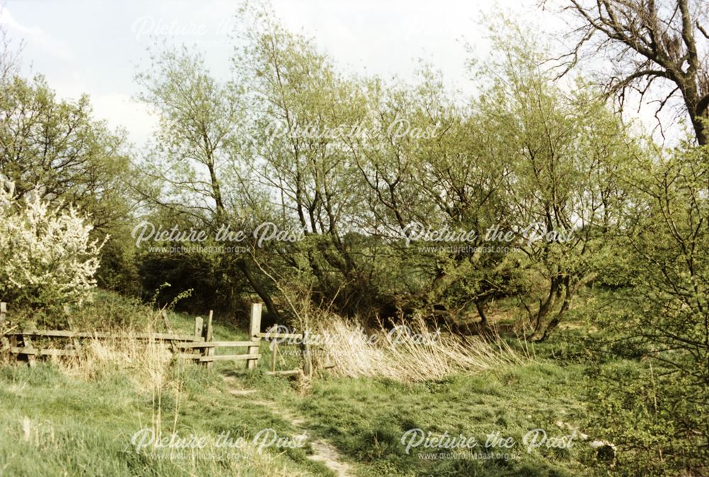 Footpath from Ripley to Street Lane, Ripley, 1986