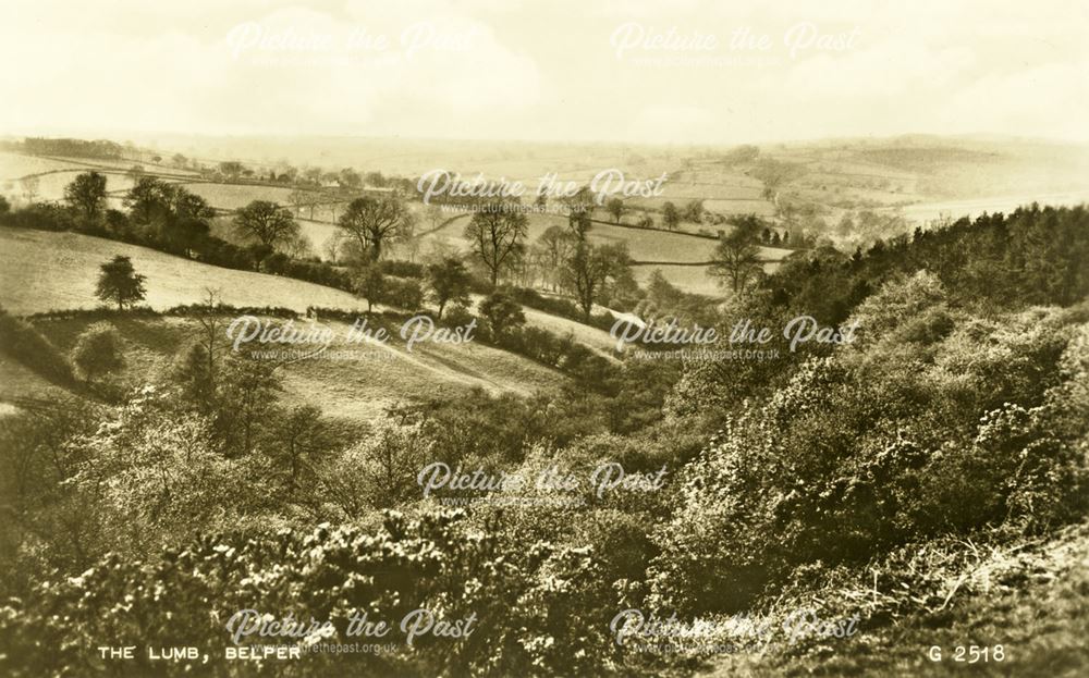 Depths of Lumb, nr Belper, c 1940