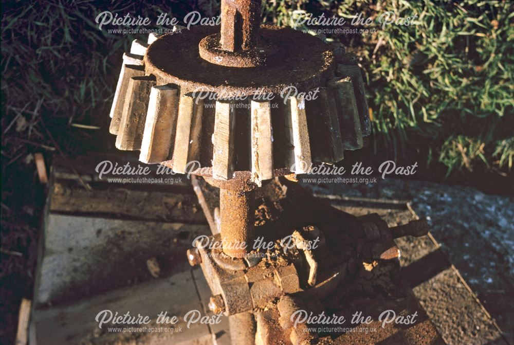 Example of Gear Wheel, teeth of Pear Wood, Duffield