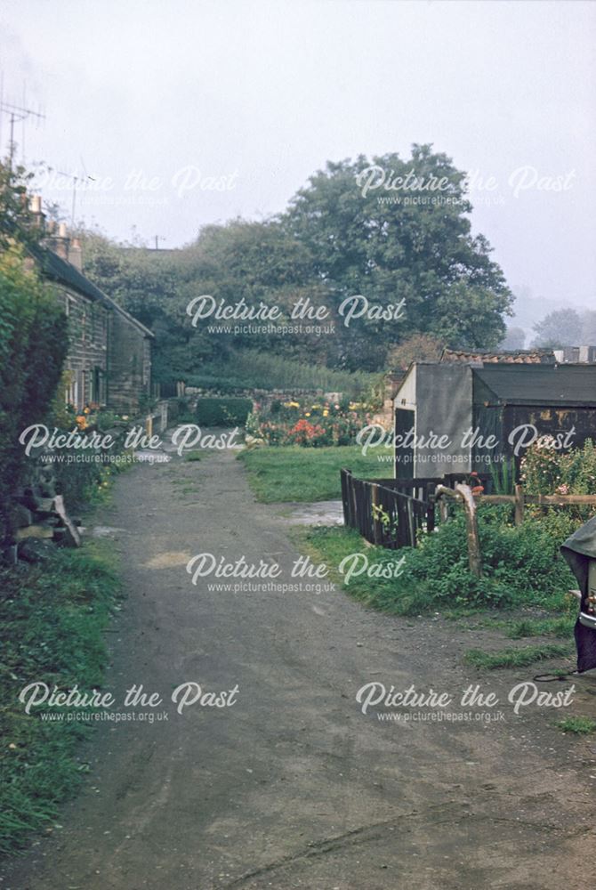 Old Main Road Through Castle Orchard, Duffield