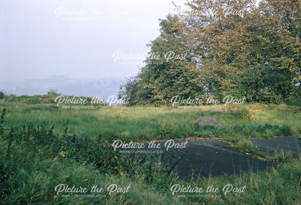 Site of Duffield Castle