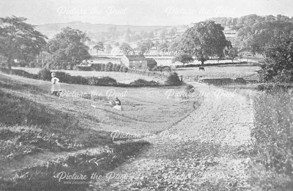 Site of Avenue Road Housing Development, Duffield