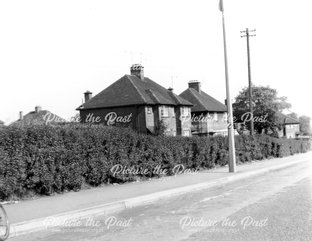 Butterley Hill, Butterley, near Ripley, Derbyshire, 1969