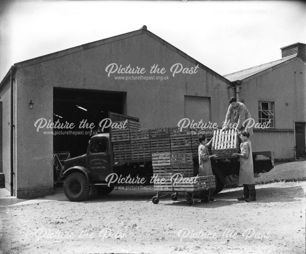 Thornhill and Sons - Loading poultry crates