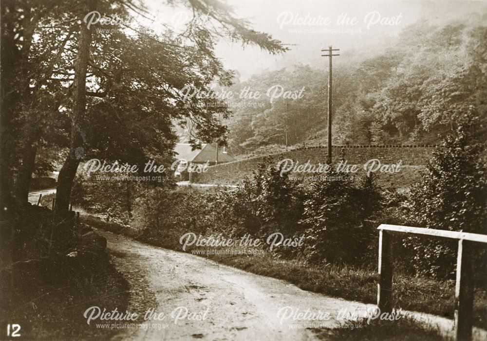 A Shady Lane Between Kinder and Hayfield, 1920s