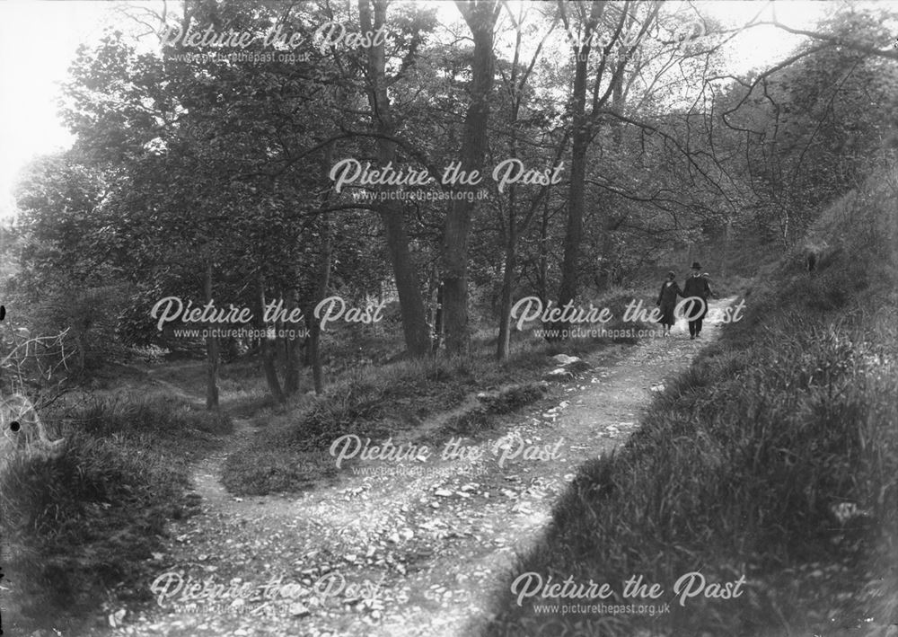 Walkers on Path Through Woods at Ashwood Dale, Buxton, c 1930                                       