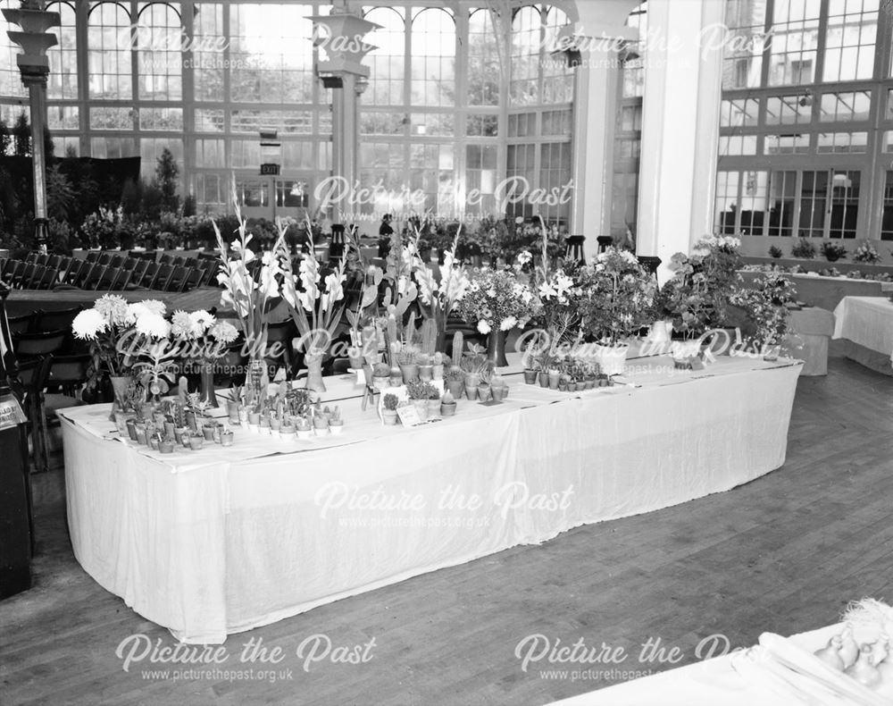 Flower Show, Pavilion Gardens, Buxton, c 1959