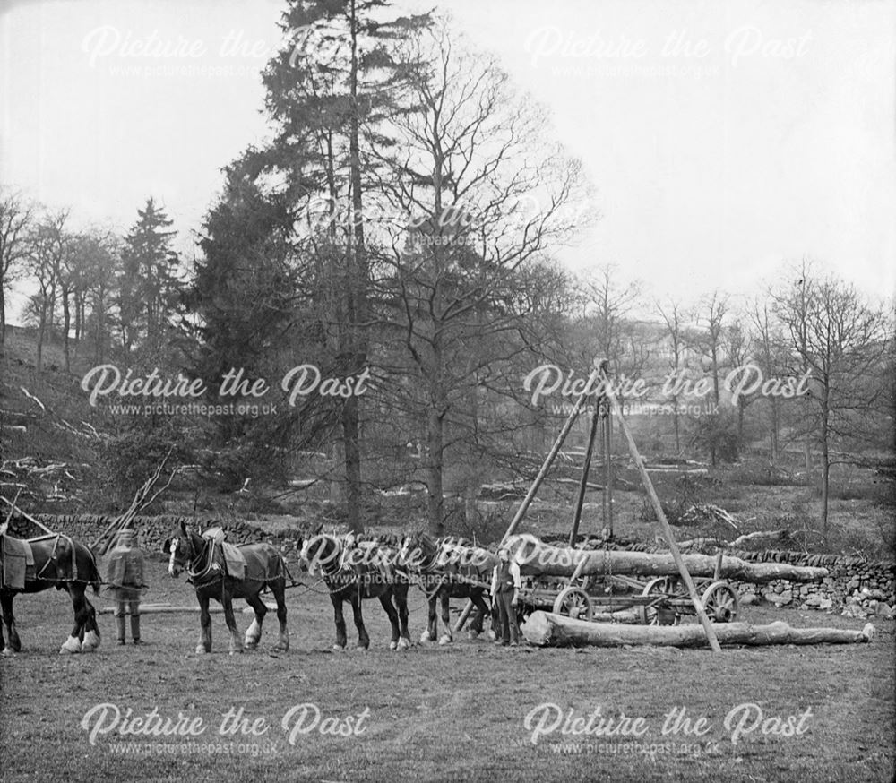 Logging, Alderwasley