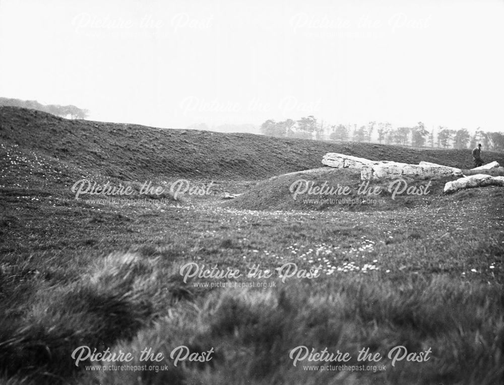 Arbor Low