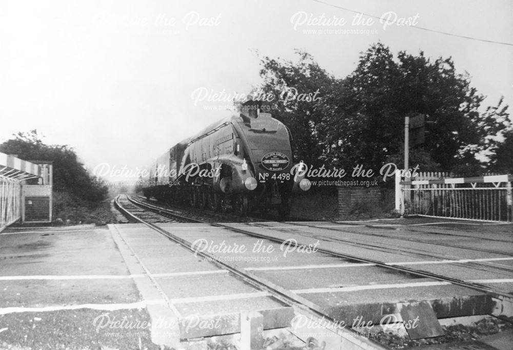The Railway Line, Pinxton Wharf
