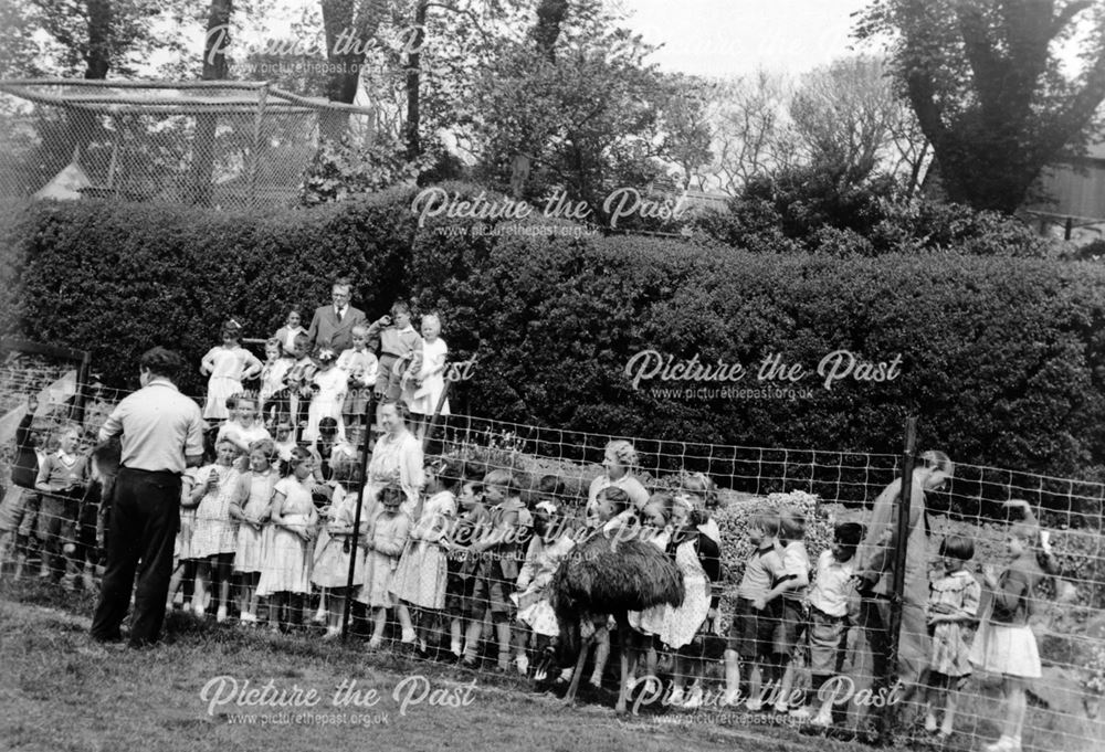 Shirebrook children on a school visit to Pans Gardens - Ashover Zoo