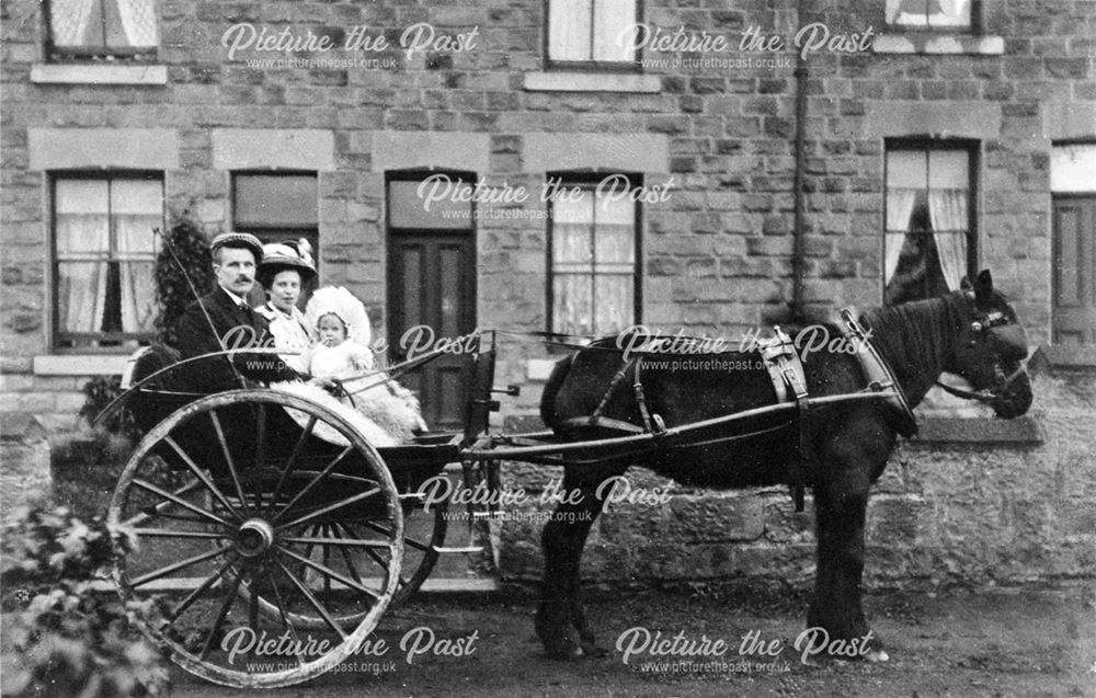 Family group in a pony and trap, Bolsover