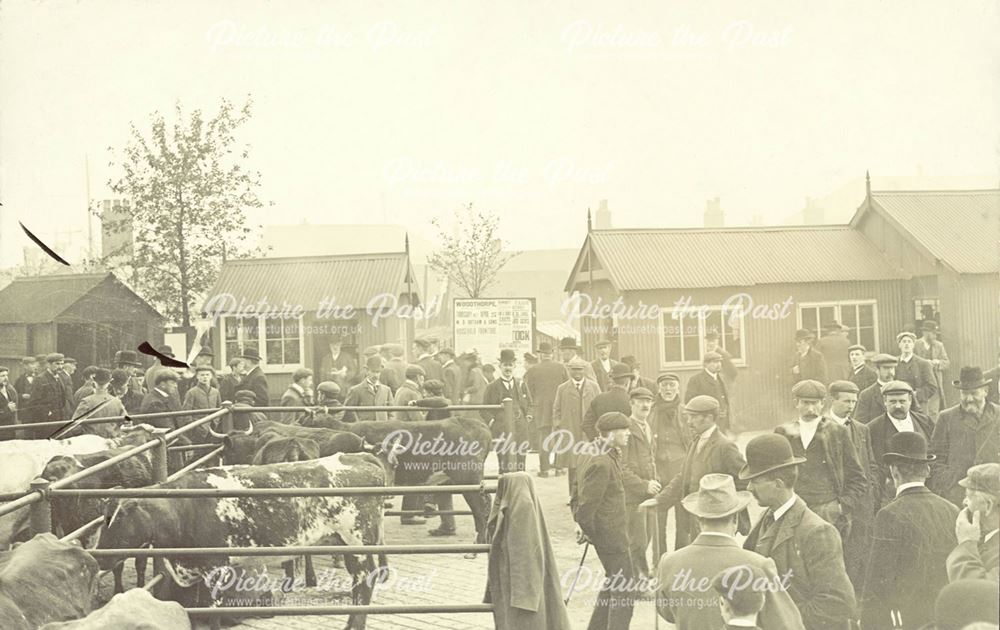 Chesterfield Cattle Market