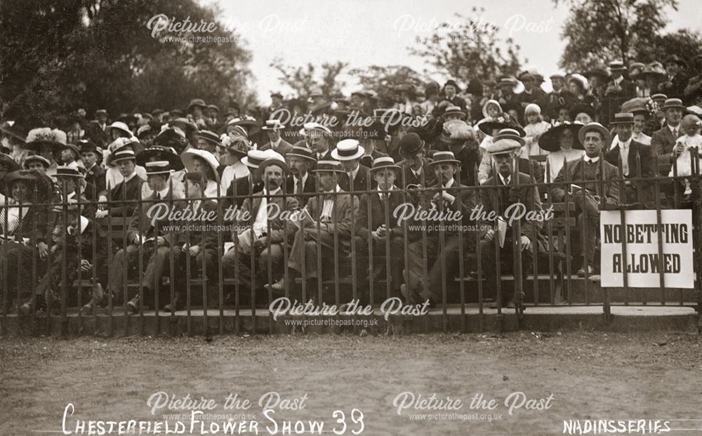 Spectators at Chesterfield Flower Show