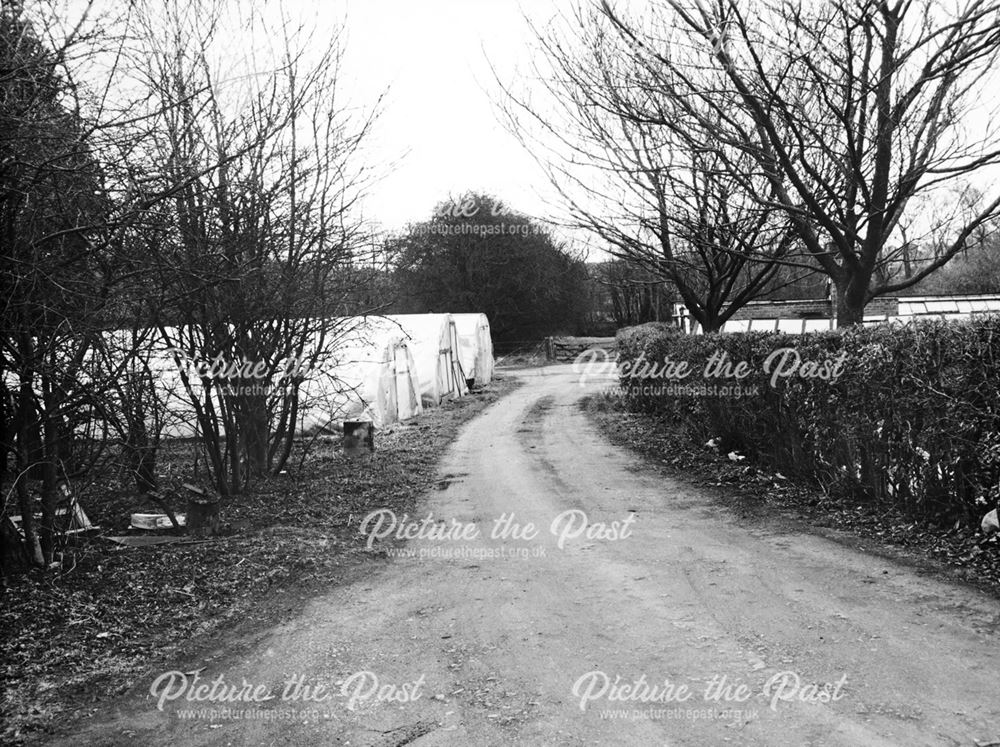 Busies Nurseries, Rye Flatt, Brampton, Chesterfield, 1990