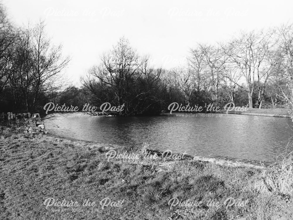 Walton Dam, Chesterfield, February 1989