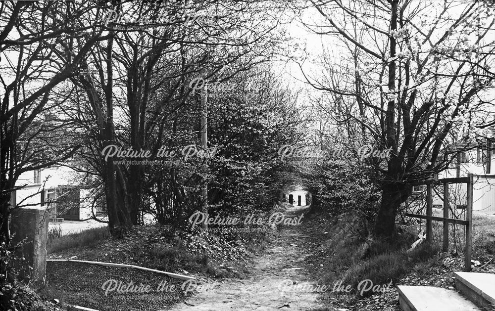 Red House Walk View Towards Holme Brook, Loundsley Green, Chesterfield, 1972