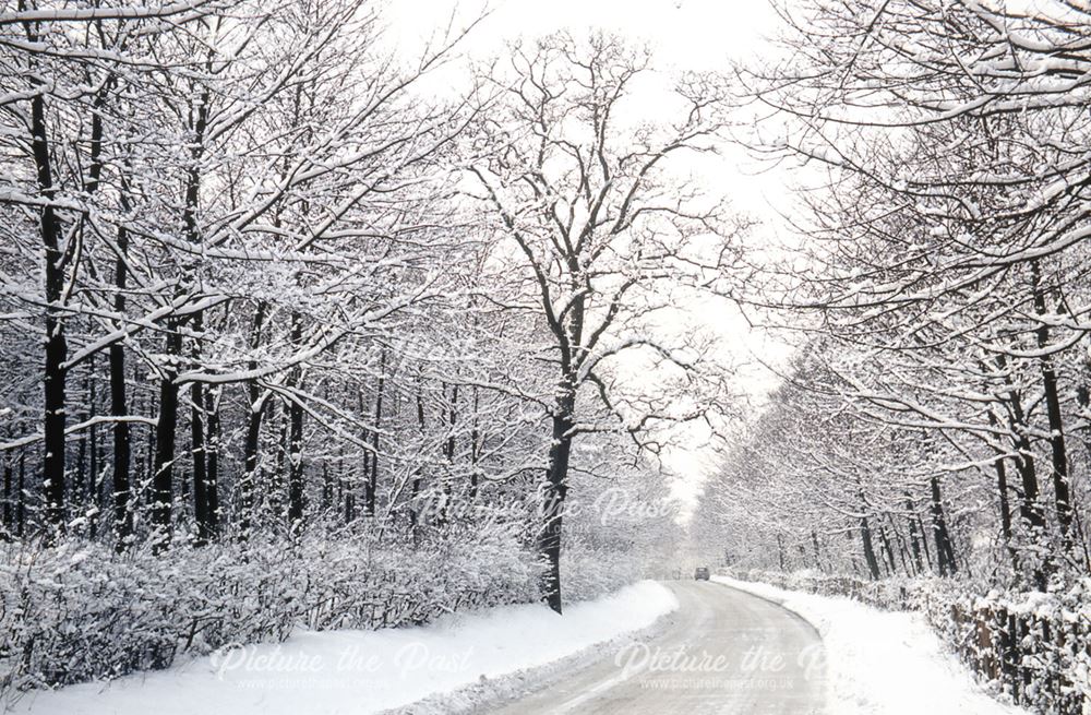 Winter in Ashgate Woods, Ashgate Road, Chesterfield, 1969