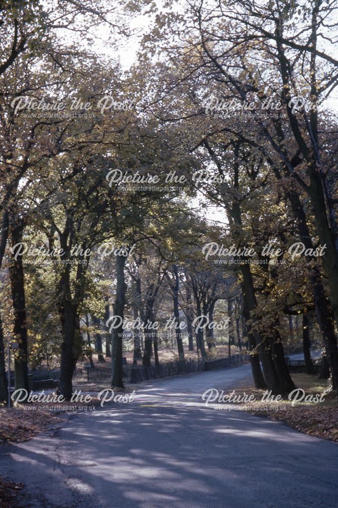 Somersall Lane, Somersall, Chesterfield, c 1960