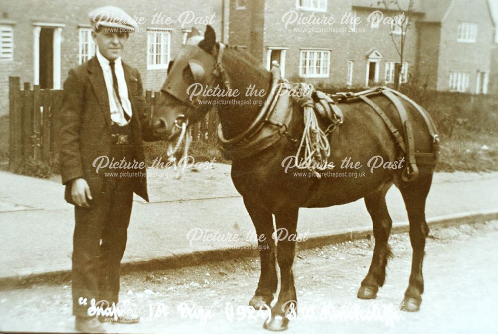 'Snap' the Pit Pony, Poolsbrook