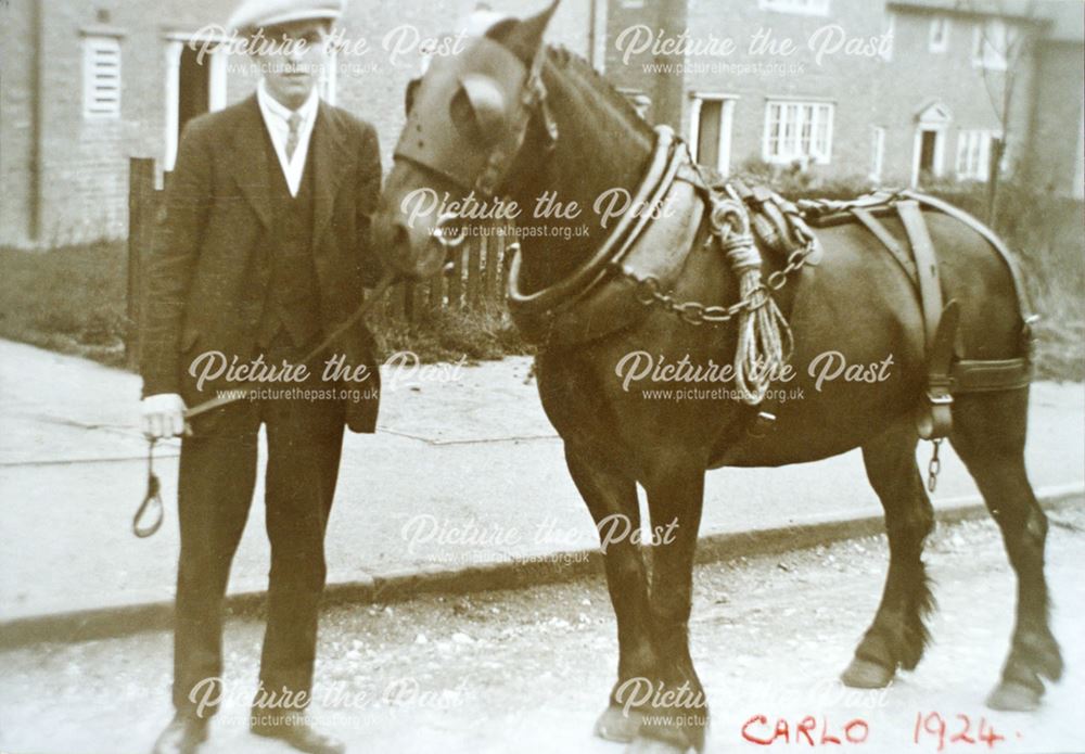 'Carlo' the Pit Pony, Poolsbrook
