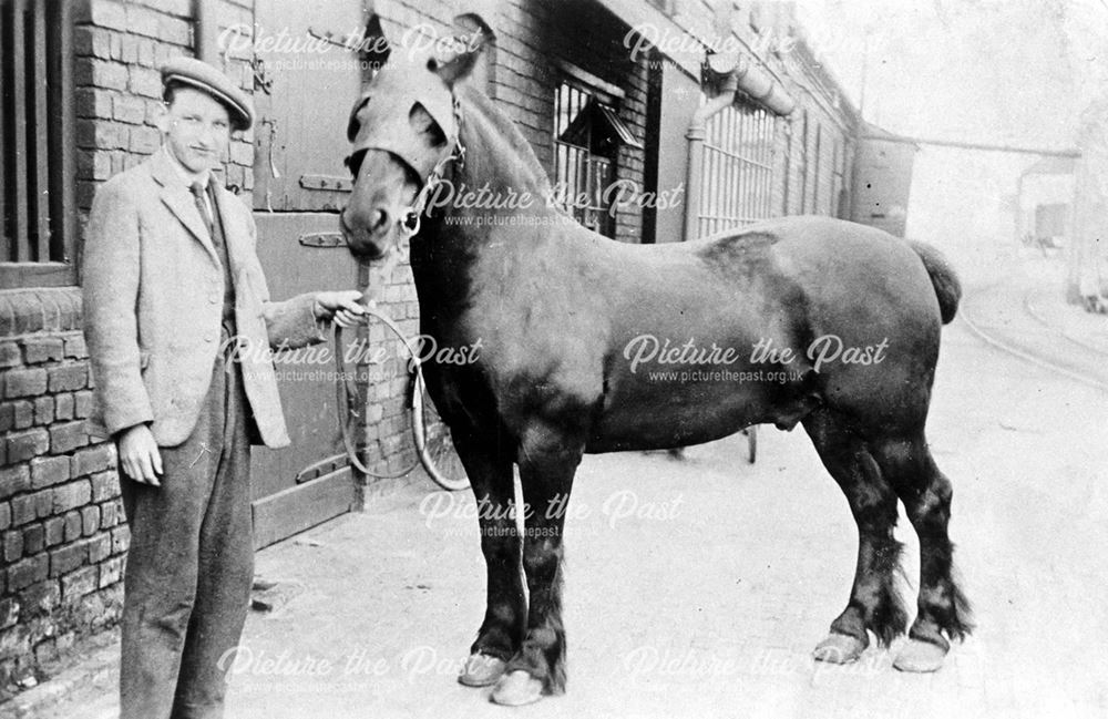 Ken Brownlow with Pit Pony at Ireland Colliery