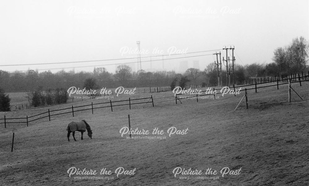 Fields, Mount Road- The Scotts, Castle Gresley, 2002