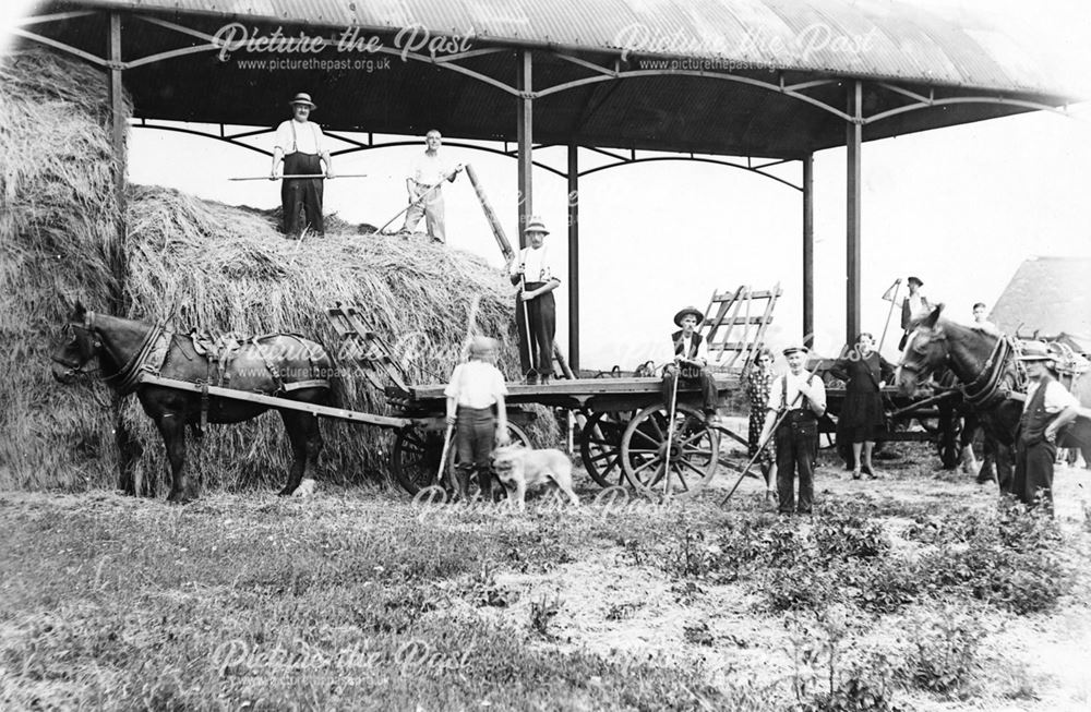 Long Eaton Co-operative Society Farm, Meadow Lane, c 1935