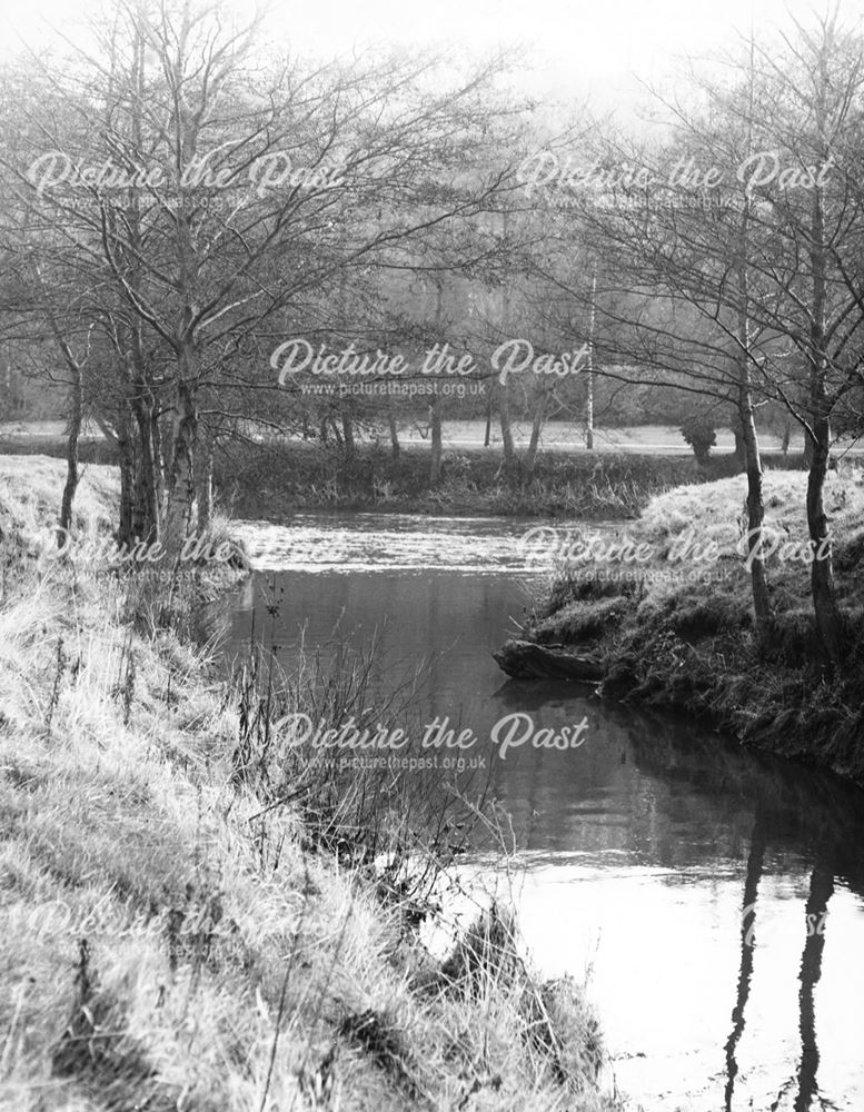 River Ecclesbourne, Duffield, c 1950s ?