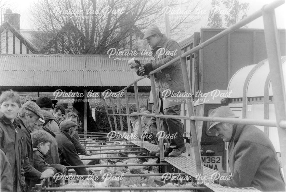 Old Cattle Market - Sheep auction