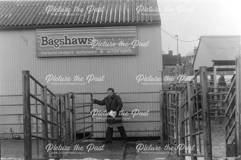 Old Cattle Market - Bagshaw's livestock auctioneers livestock pens