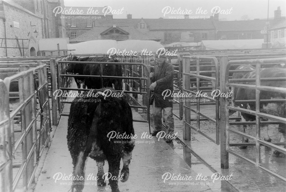 Old Cattle Market - Bagshaw's livestock auctioneers livestock pens