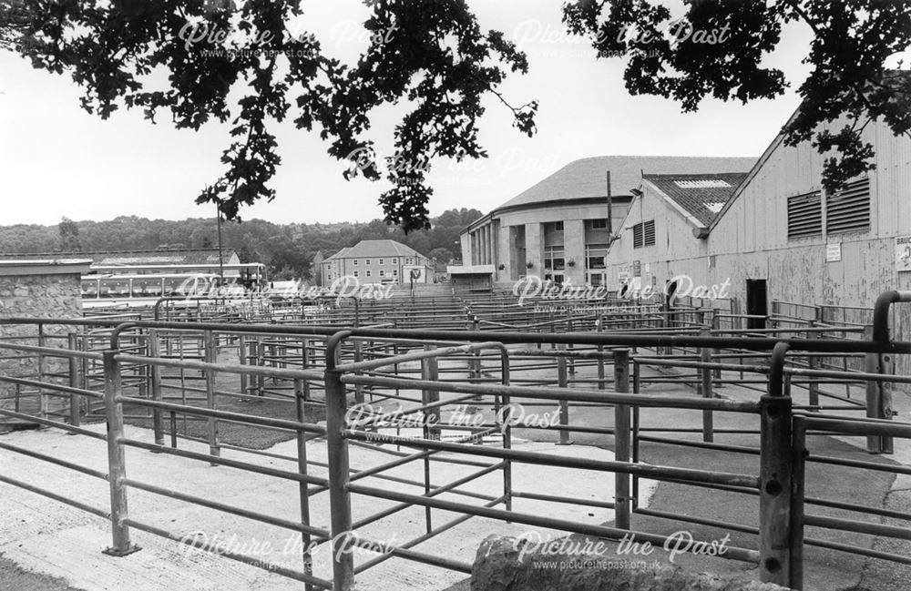 Old Cattle Market - Bagshaw's livestock auctioneers livestock pens