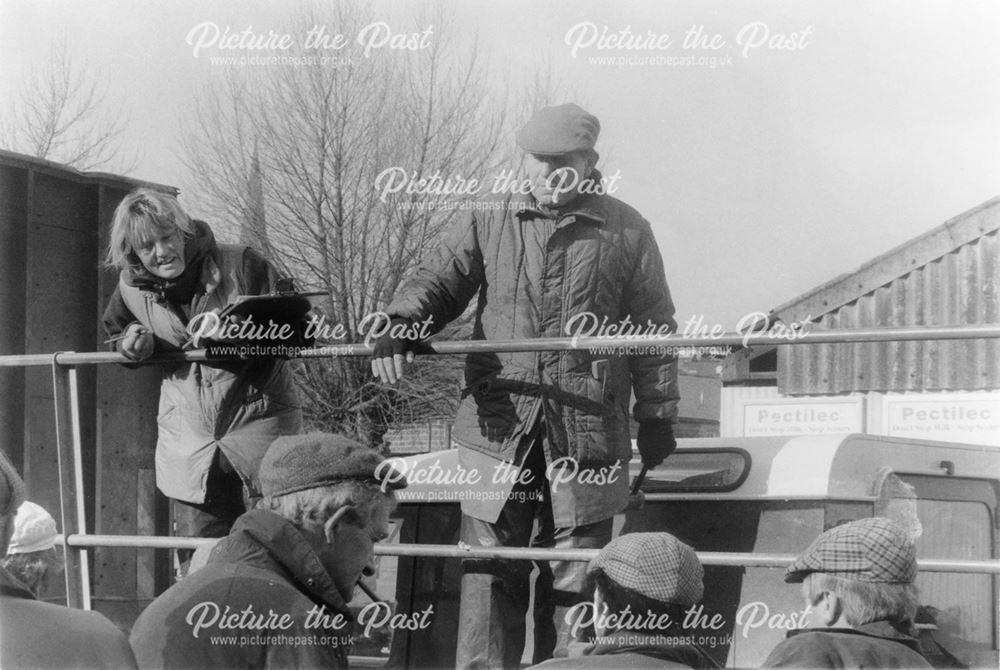 Old Cattle Market - Sheep auction