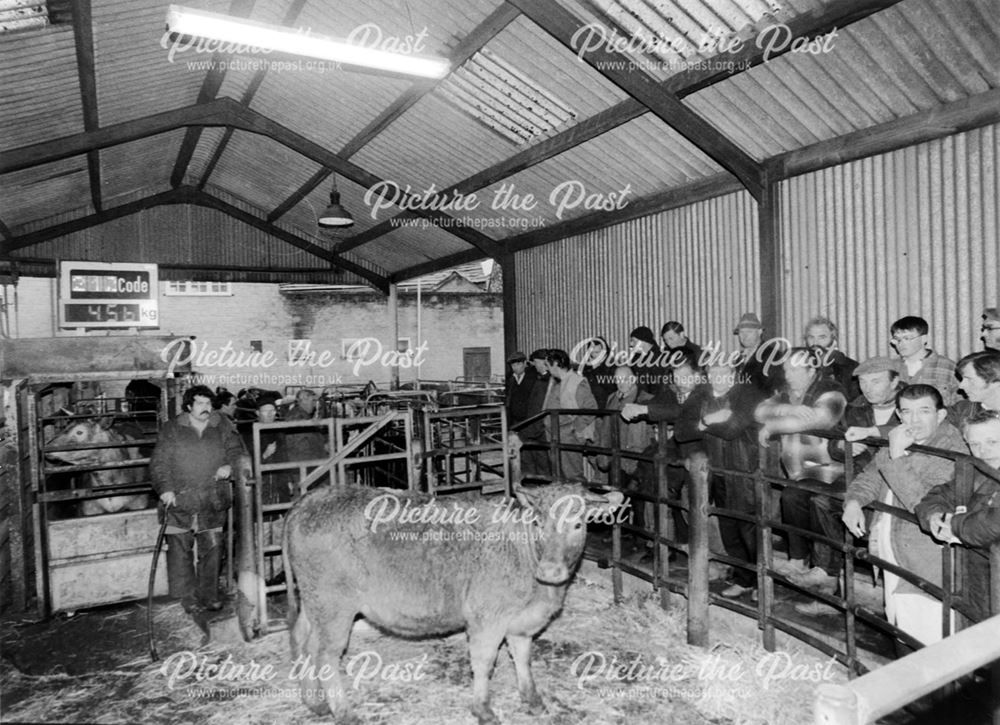 Old Cattle Market auctions