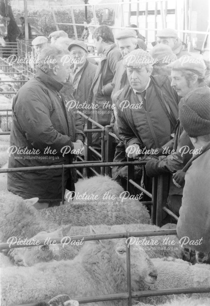 Old Cattle Market - Sheep auction