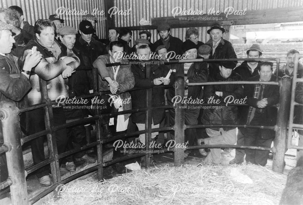 Old Cattle Market auctions