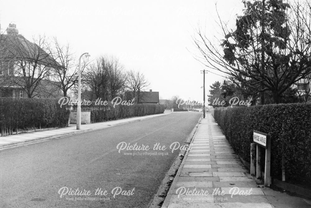 Parkside Avenue, Long Eaton