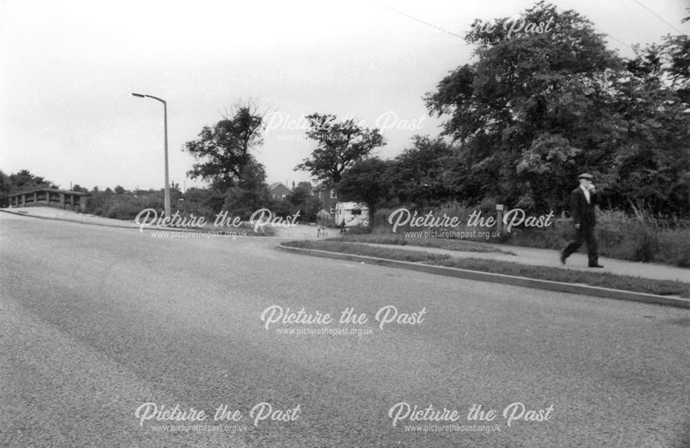 Cockayne's Bridge, Long Eaton