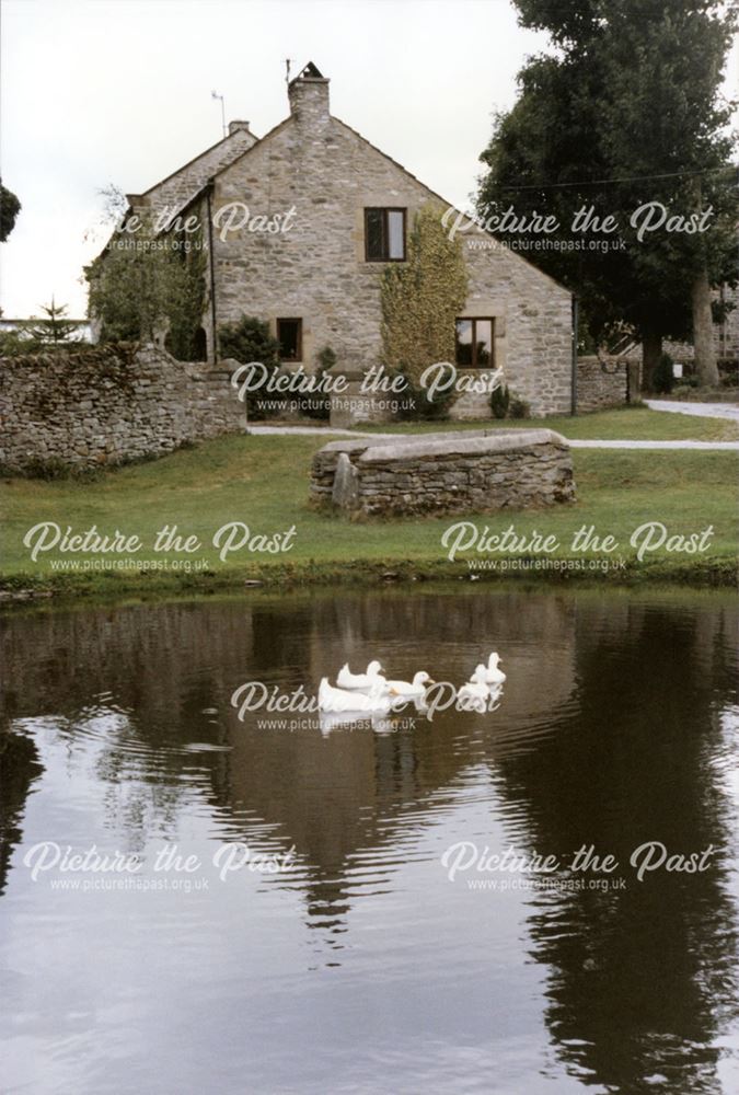 A Cottage with Duck Pond