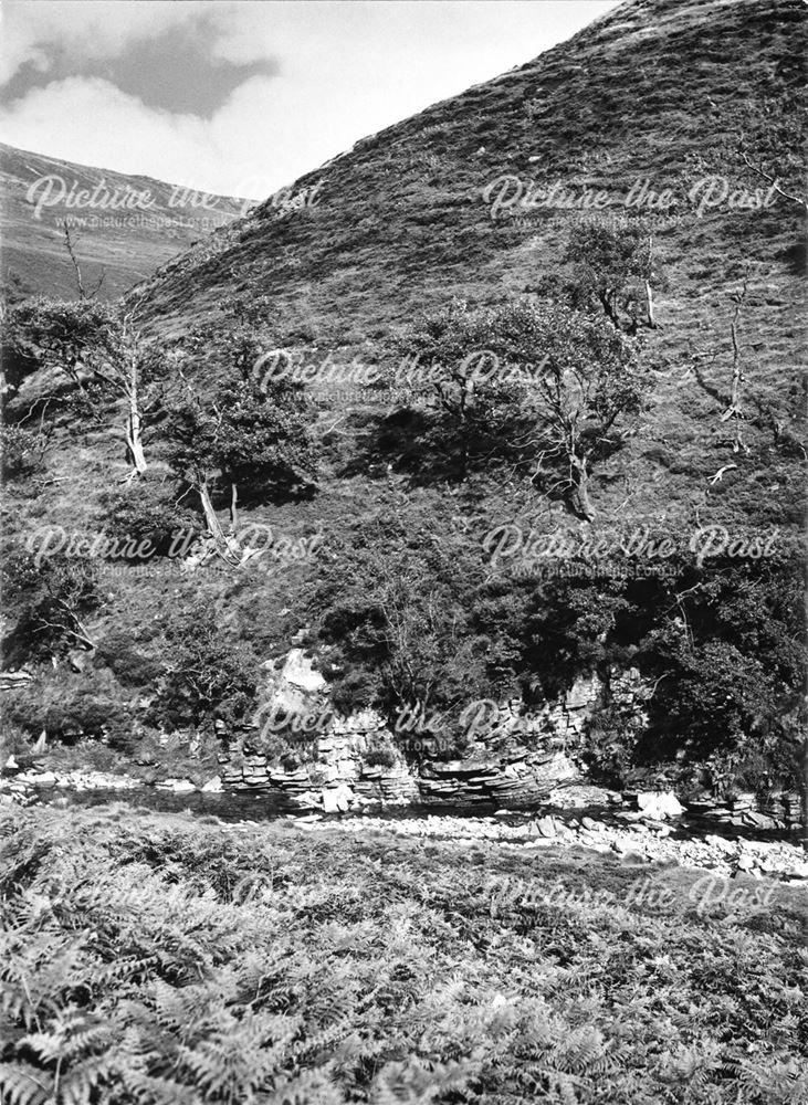 Oaken Bank on River Derwent above Howden Reservoir