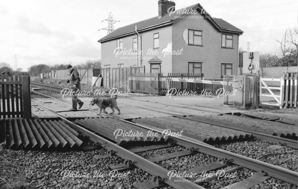 Back Lane crossing