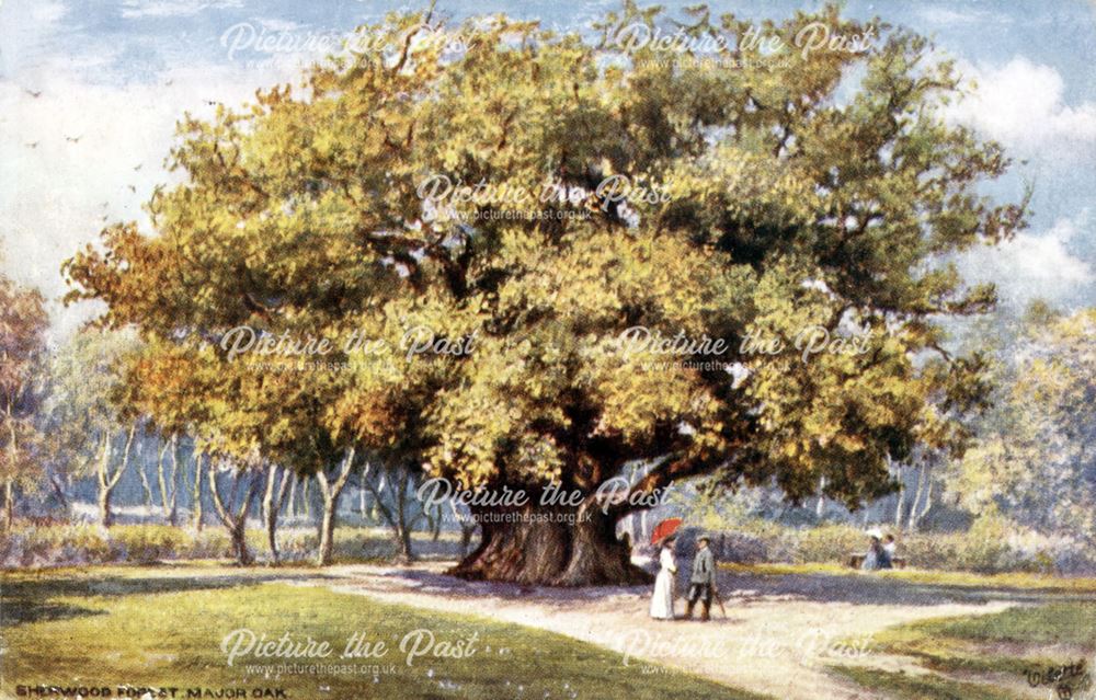 The Major Oak, Sherwood Forest, Edwinstowe, c 1900